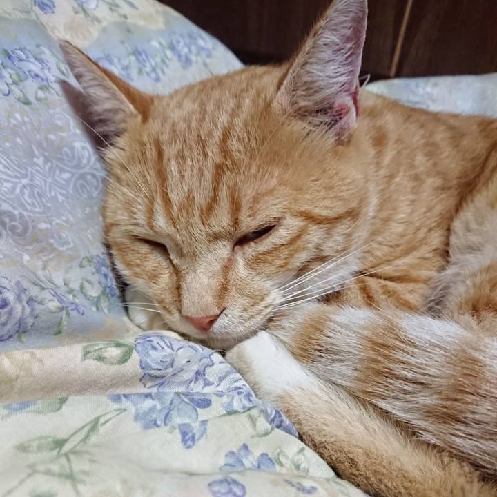 C4155f2d 033e 47f4 ad37 405fe59645aa 1564315911894