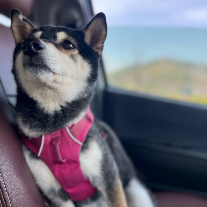 C4156928 7289 4309 aa8b 5358b1561a94 1744671227781