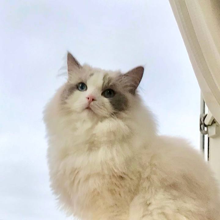 C4159046 17bc 4513 b541 7e72e6b37587 1631105575449