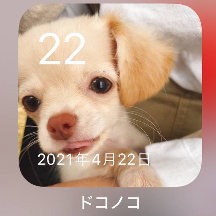 C4159cac cb19 46c9 95ed 3b739141e7b7 1713777471784