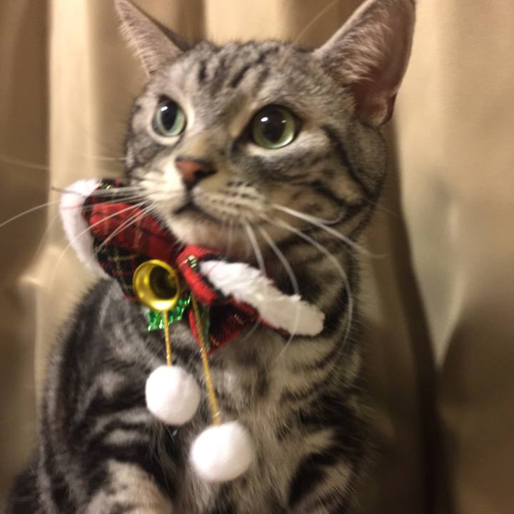 C4159cb5 0071 400d a75f 05b12514ca3f 1514118564860