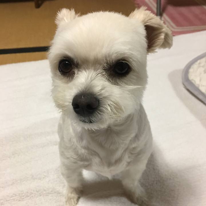 C415a0ff afd5 40e0 a440 4bf740ef41b3 1563272728928