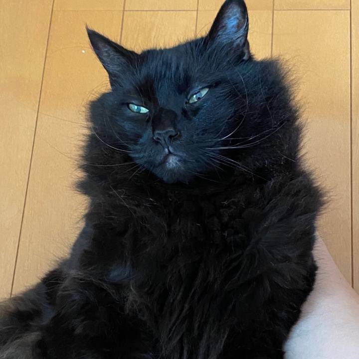 C415a7bc 588b 41e5 abc7 26e8a25ec276 1599316410639