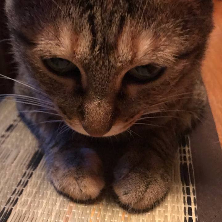 C415b834 39ab 4f4a b150 5fba792425c0 1592087263704