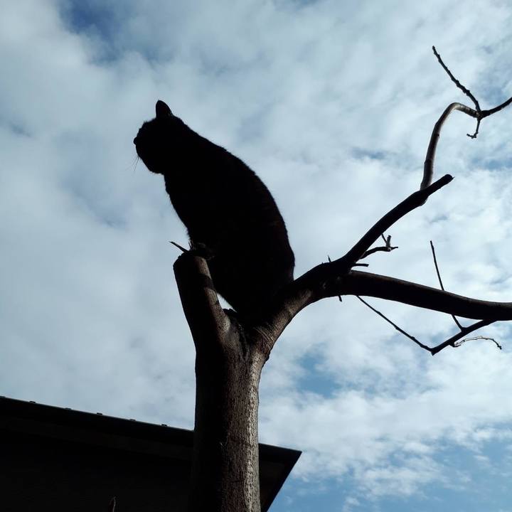 C41607cc f989 4fff 851d d82bb13f9a9c 1648095416500