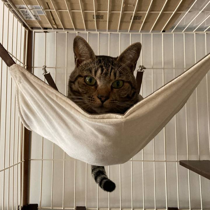 C4160821 e689 4aca a655 1960c848fa0b 1682810269552