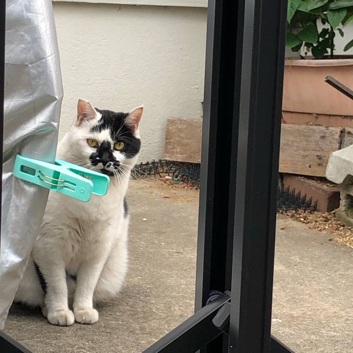 C41620a8 276c 41dc 8e3f 190caed3b64a 1541707355128