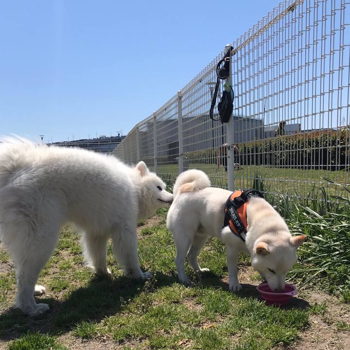 C4162826 2673 47e9 b598 3414f2afae9b 1555147681110