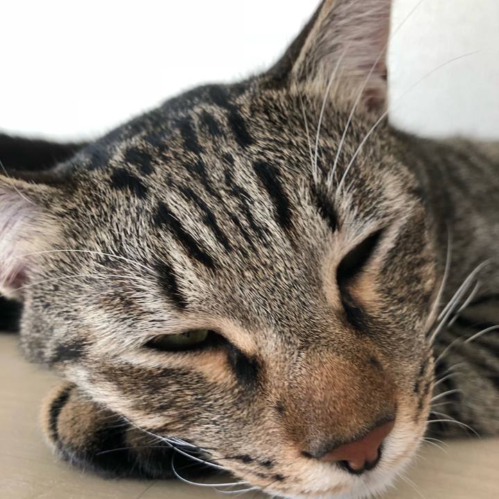 C4163f99 68b3 4cf8 97c3 14520f30ca26 1541308508264