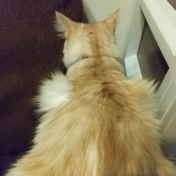 C41655d5 1522 4565 99fd e0d7543e316b 1616670020566