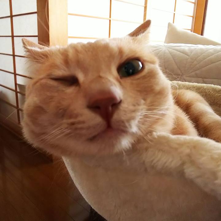 C416801b 4eee 4ec8 bcbe 96a7bacabd46 1623140256106