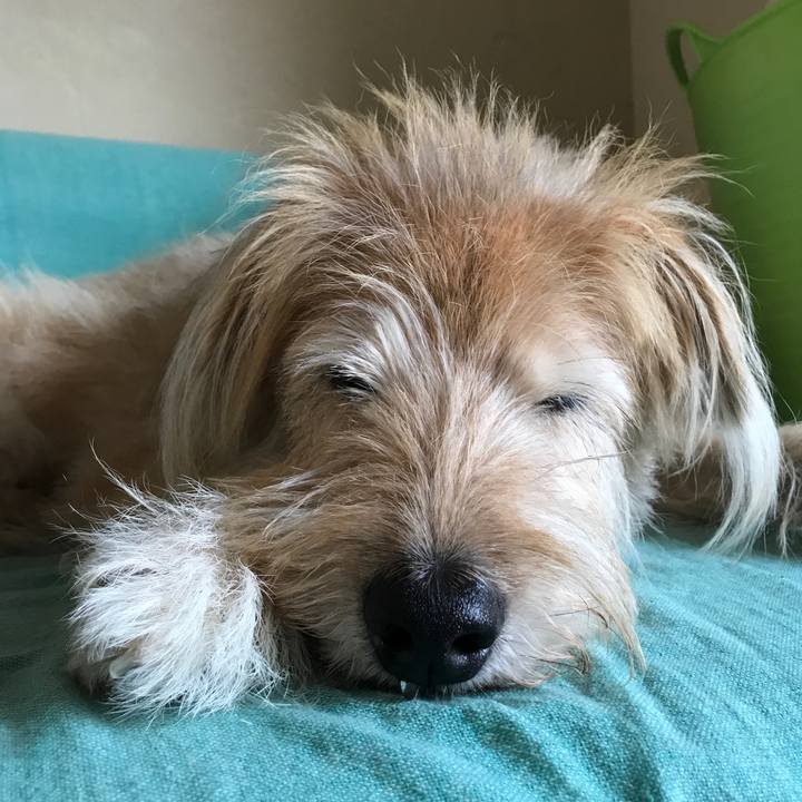 C416894b 659a 49fe 84e4 e747ee053e6e 1567512166440