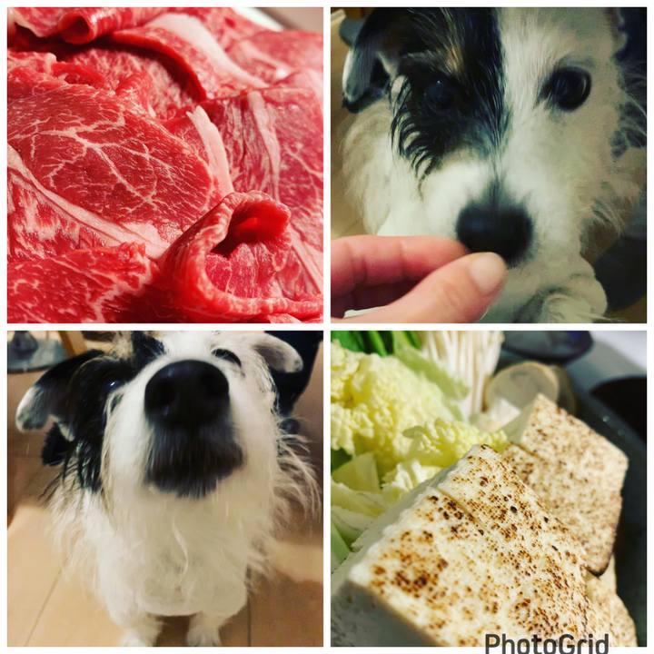 C416a0ed 74de 4bf5 a0ca bbfb97c348de 1671449913550