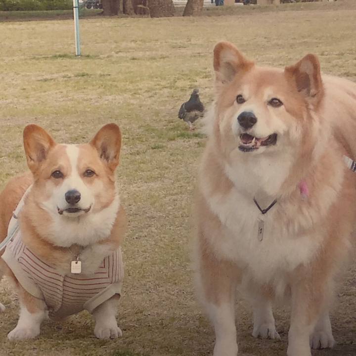 C416cb1f c79f 40fe aa35 3c890e0e46cd 1668040784038