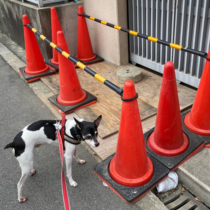 C416e037 54d8 49fe bd9c 981ad7e7e4d5 1600604537987