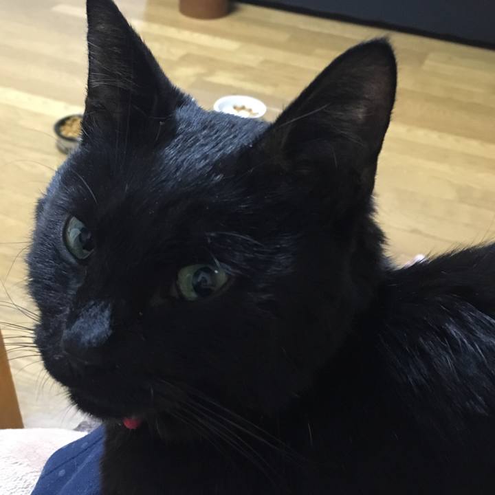 C417196e 24c1 4275 ac06 7eeb47a76825 1552049208757