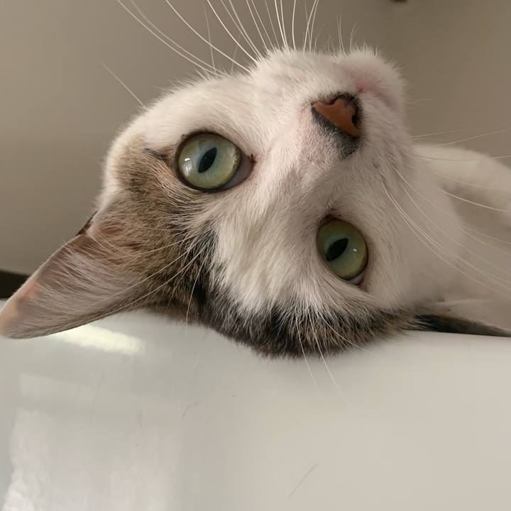 C417a1a0 12c6 4d96 9696 fdba73c8d30f 1655697919788