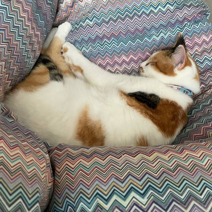 C417ddee e671 4c2f b6e4 571419678c9b 1699144217049