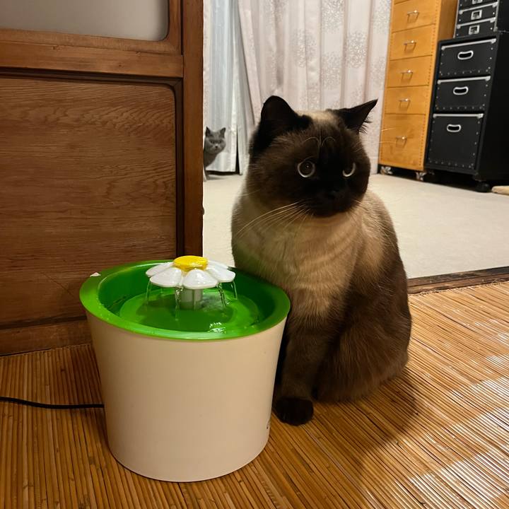 C417e13f f1ae 4ff6 bcb0 f5d5b7205b5c 1643630568919