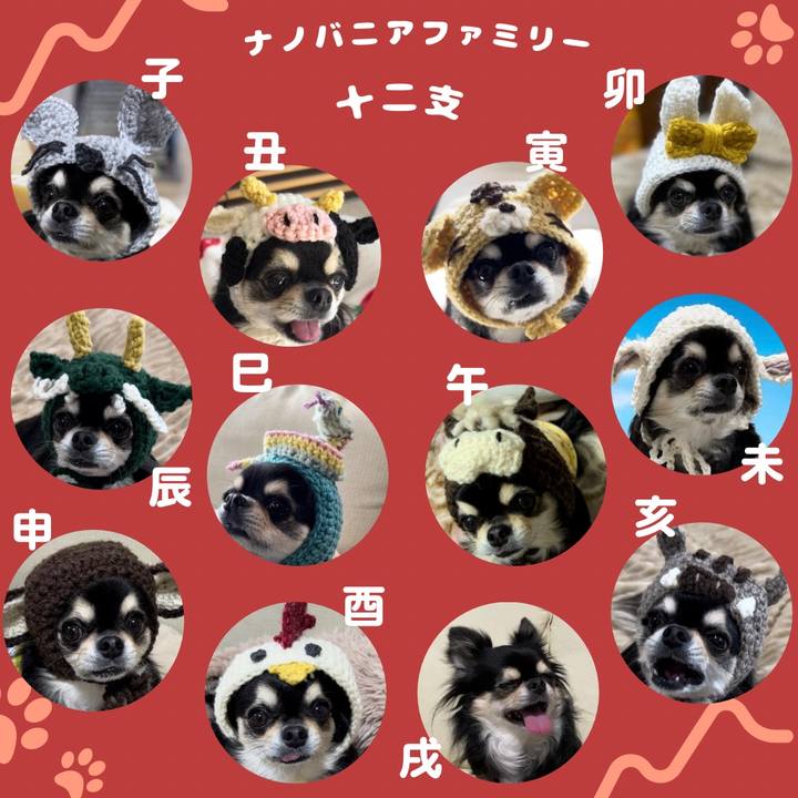 C4183226 c255 46d4 b645 cfca62aaed82 1672914171644