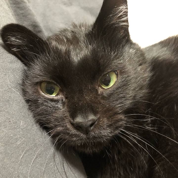 C418602a 44c8 4dbf abd5 e32a29f32a90 1610792823371