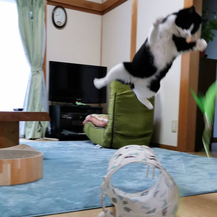 C418691f d770 474e b015 5f37bfa843ff 1637811529807