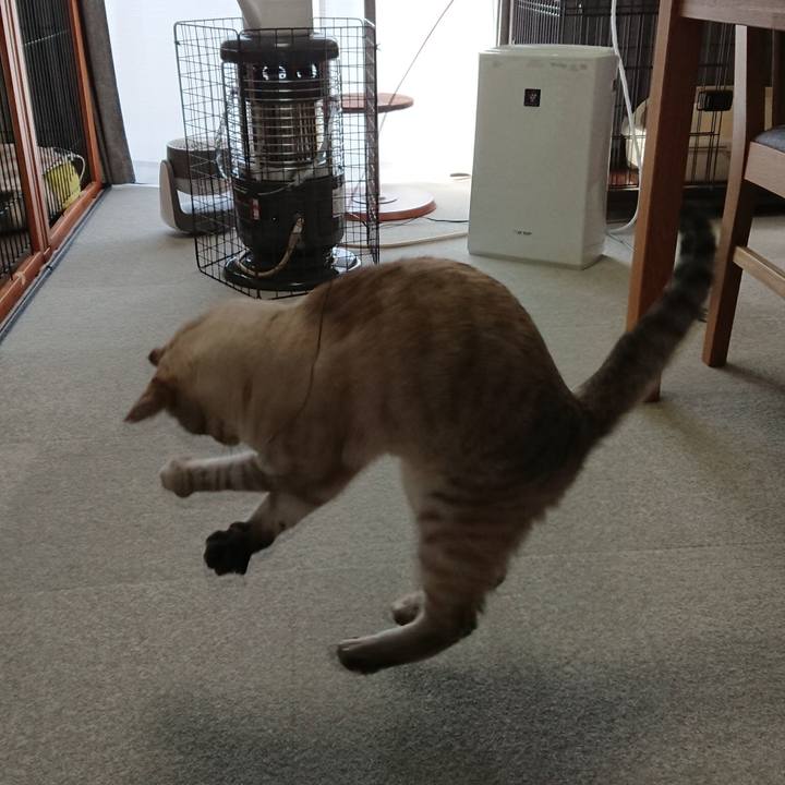 C4188369 dfcf 414c a1c4 1428fdcf6866 1515316025786