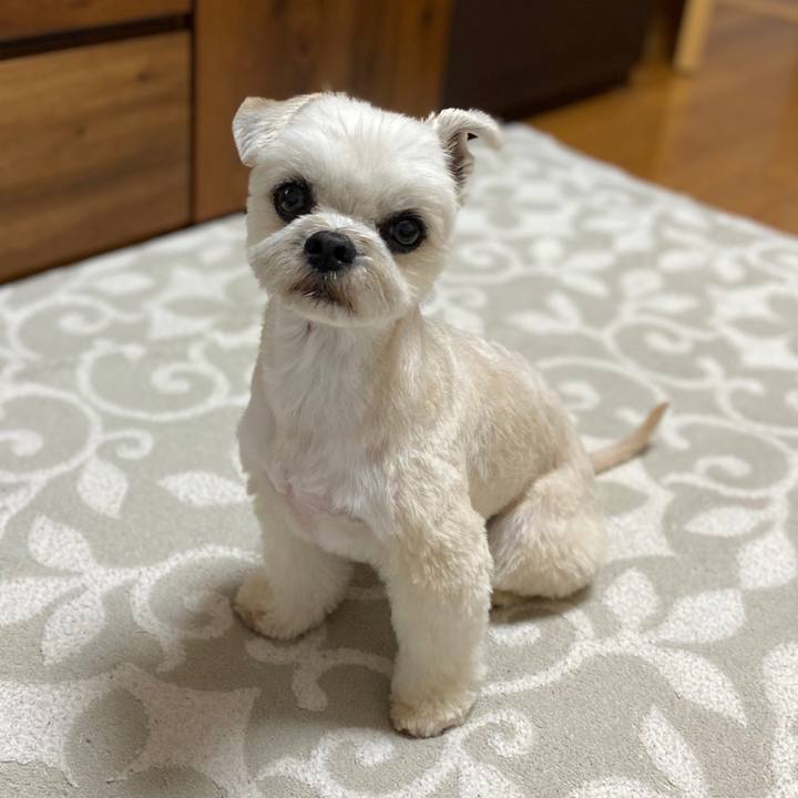 C418890e 017f 4308 bc6f 3a21320c9da7 1589546374735