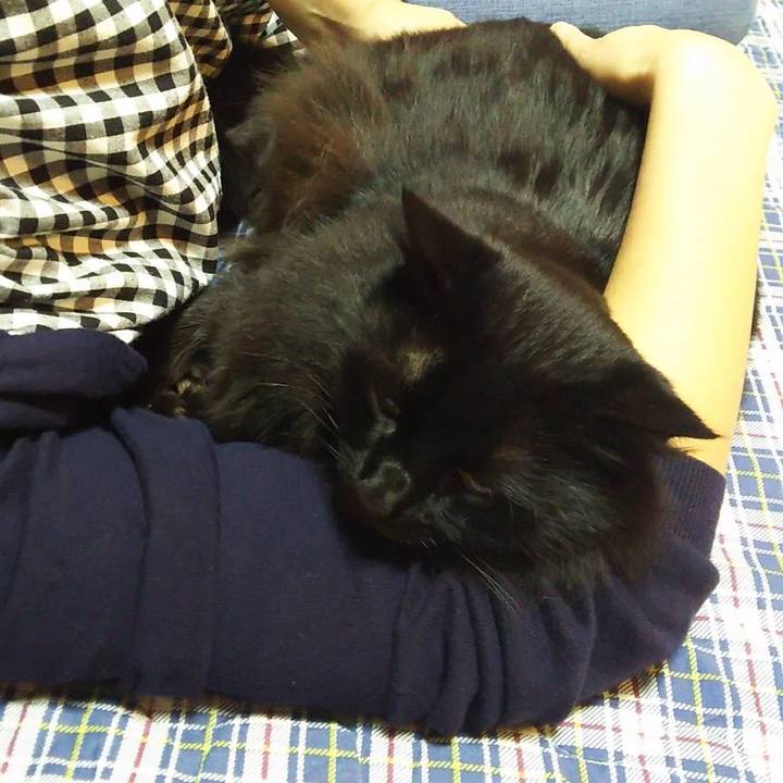 C4189bc5 1f9e 49a9 8393 8f6fae1cfdbb 1513337423185