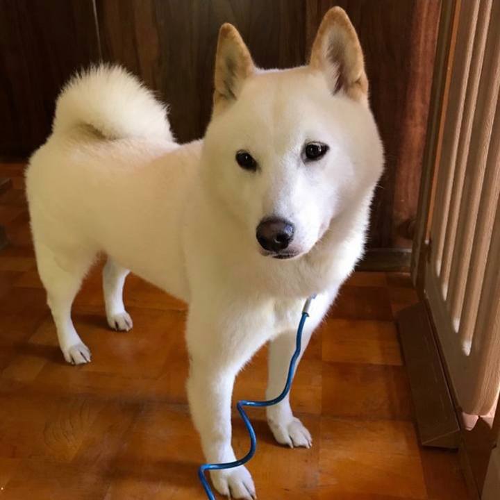 C418d89b 1c46 4e4c 8c60 b32cd6be1f97 1600376609663