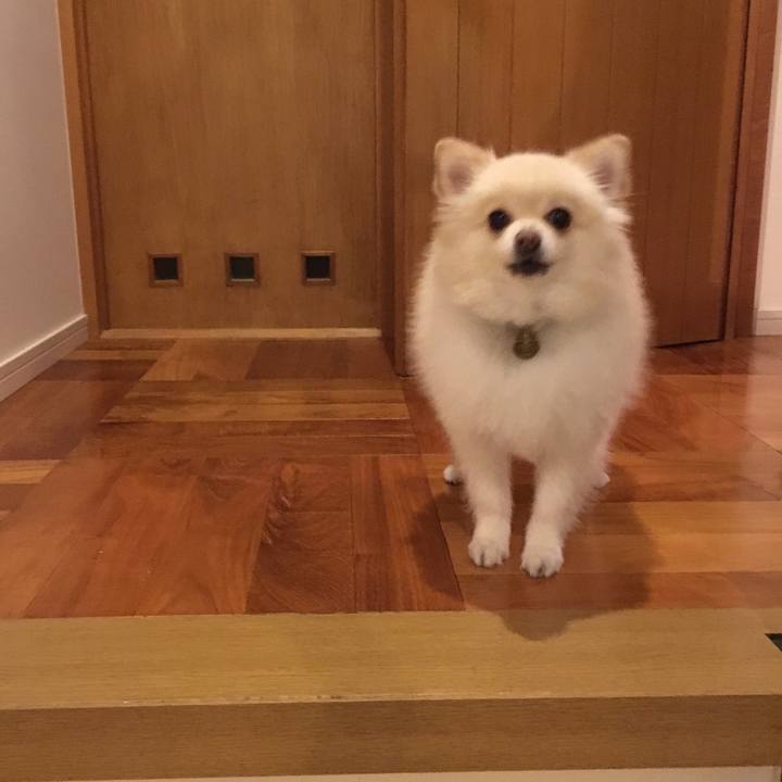 C418d8f7 7726 4660 b9e2 bce1c3ebbbac 1573601194192