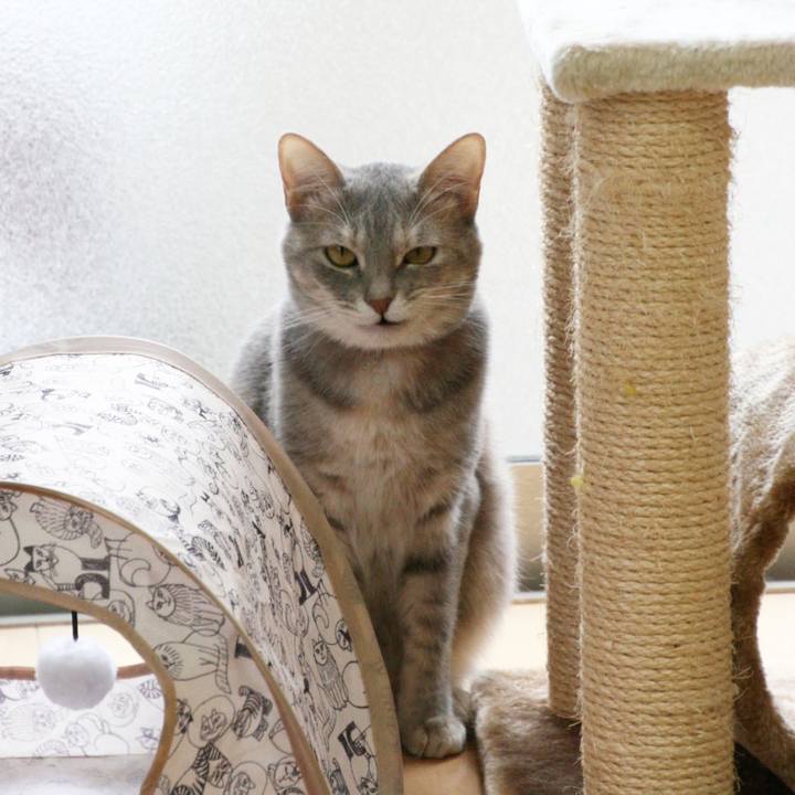 C418f556 d7db 4705 9355 6fec73d83a77 1528787713963