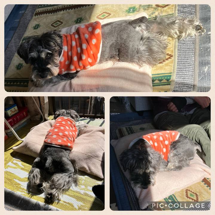 C41915fe 5215 4af3 b61f 8b94bf818576 1741527464974