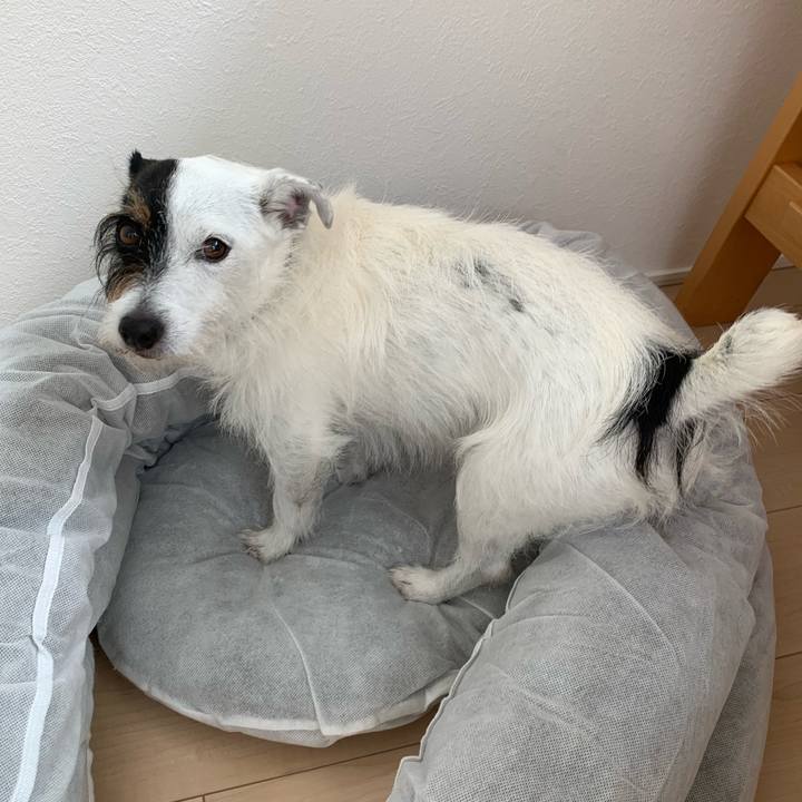 C4193c09 0521 4b03 939f 4868888ae53f 1654831441346