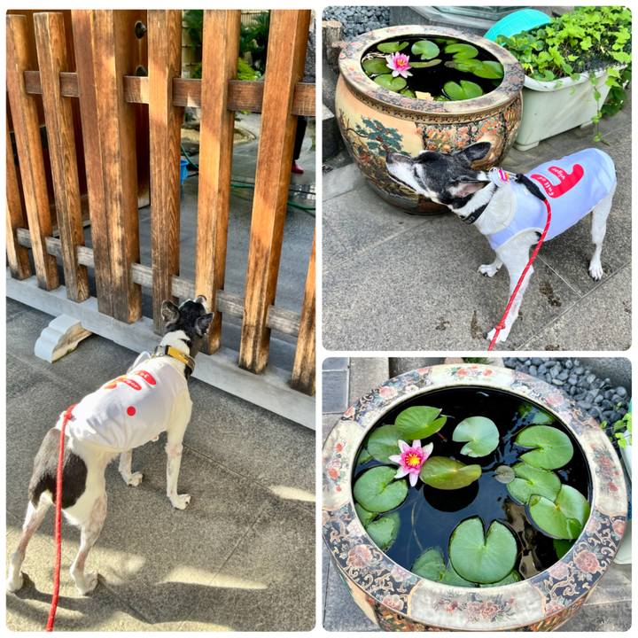 C4196030 74c8 4ae0 9231 4c745997ed8a 1658644760771