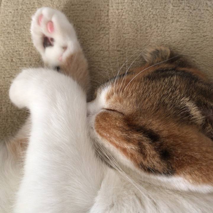 C41981c4 aa7d 44ea 9bbd f8608d8757f9 1512208583973