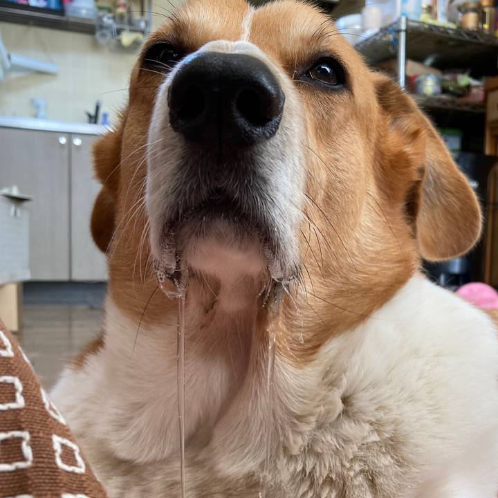 C419837c 7361 4bb7 aae2 bed78035bfbc 1763184107862