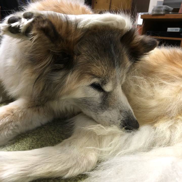 C4198ac1 f454 4b28 ac5a 1b326fae734d 1551353204615