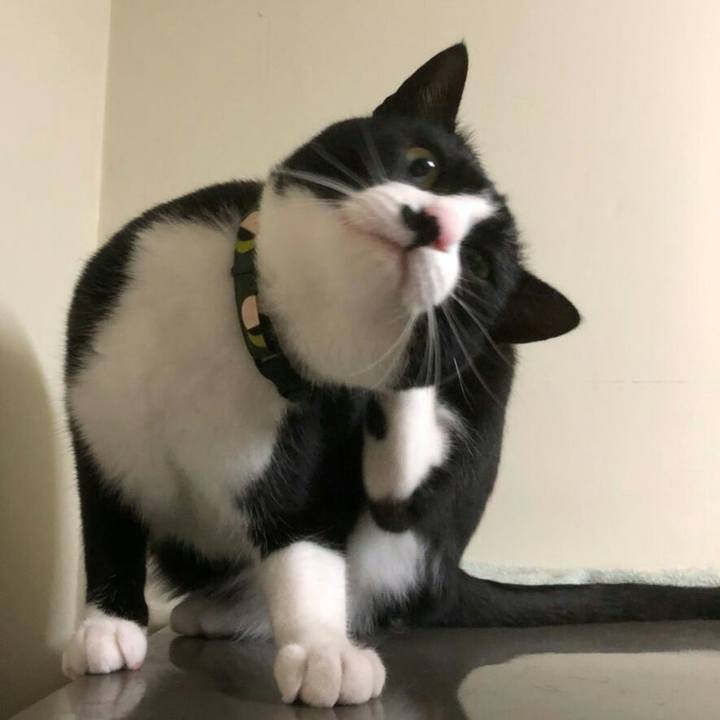 C41a2370 9085 4801 9be8 01227e24b75d 1530881012871