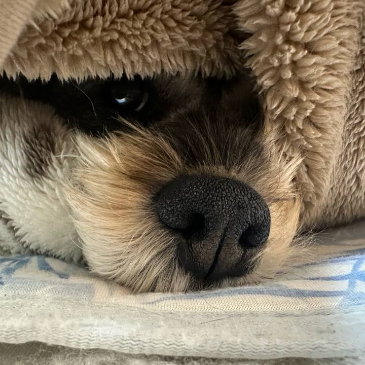 C41a2716 df35 402c 9487 7fefbbc2f73f 1736466350037