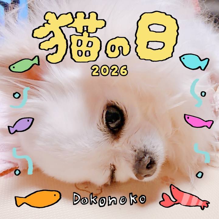 C41a464b 41de 440f bc08 ff1792707b70 1771720089047