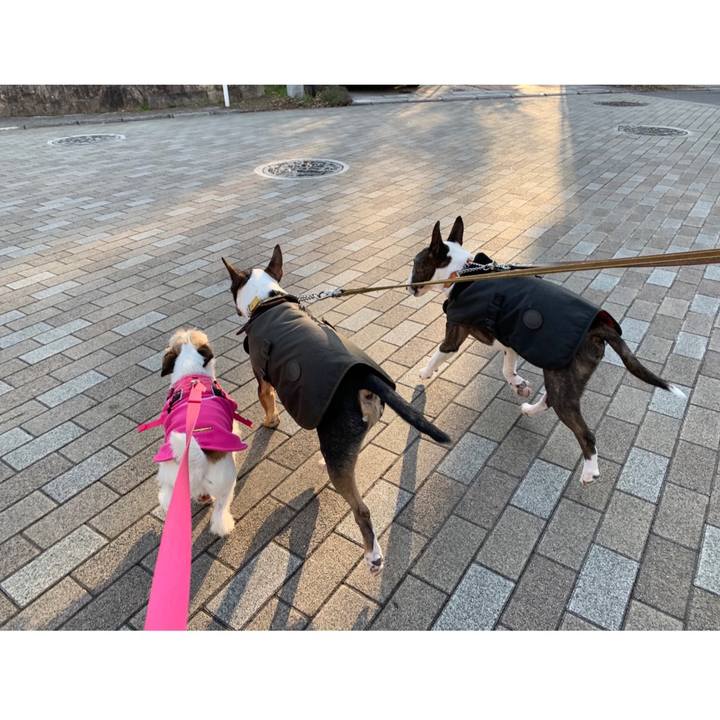 C41a58e3 0f98 47f2 916a e265be00cc04 1579420892148