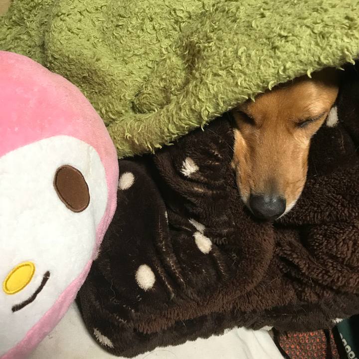 C41a7bc0 9c5b 44d9 bec8 efc7b07ec9ce 1517712963657