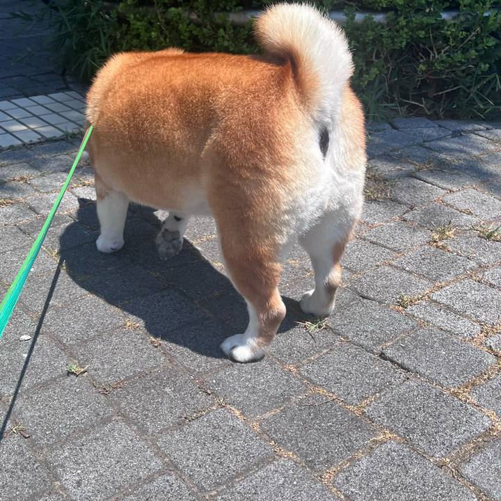 C41aba1a 550d 47a7 b46e 4d3cffdf3b5e 1690342235948