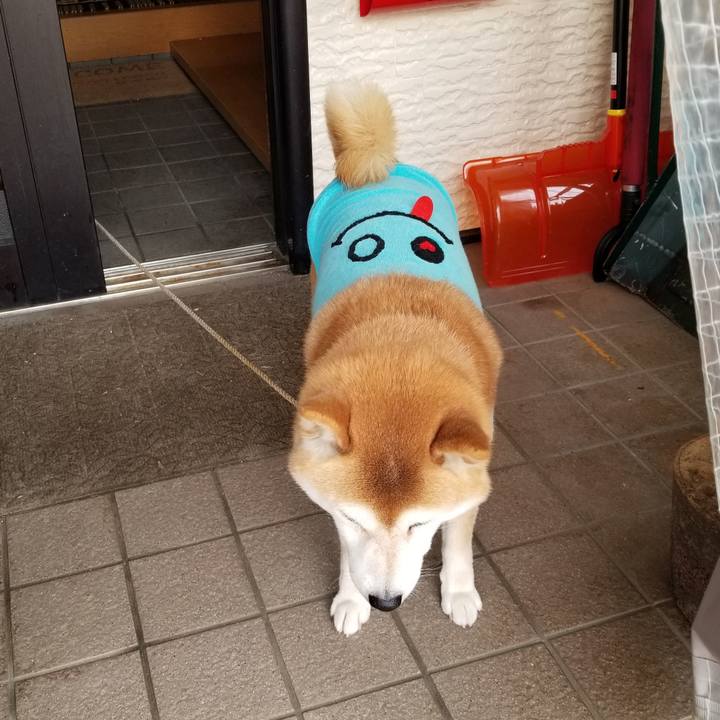 C41adfbc 8822 4118 ae95 740d89eed7ce 1584315265473