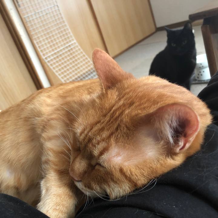 C41ae2fe 4284 466c a418 e990b1714877 1671315815904