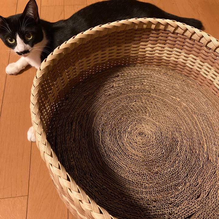 C41aff26 d813 4630 b26e 0867224a2c52 1693049960168