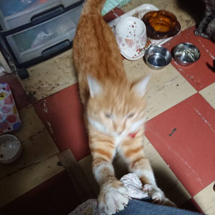 C41b11ff 1d4c 4740 bb66 182be94f68a2 1570477609950