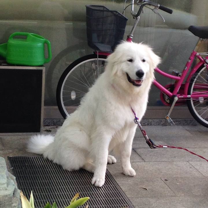 C41b1647 6867 49de 8bdb c37e99298fcd 1509439825124