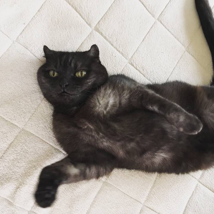 C41b27ae c89f 4602 87dc d3aab0a8c696 1527559707777